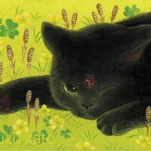 Meet your Posher, Sofia